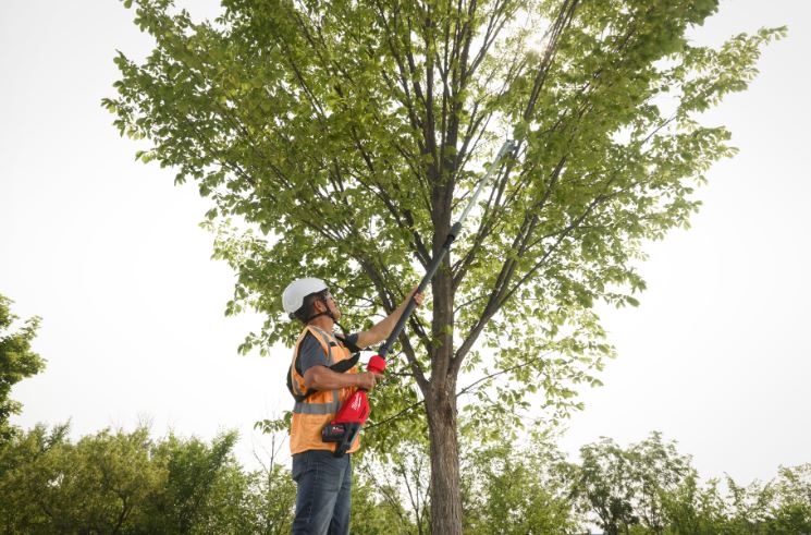 Akku-Teleskop-Astschere M18 BLTS-0, bis zu 4,4cm, bis 3m ausziehbar, Haken zum Herabziehen von Ästen, bis zu 2000 Schnitte in 2,5cm Holz mit einer Akkuladung